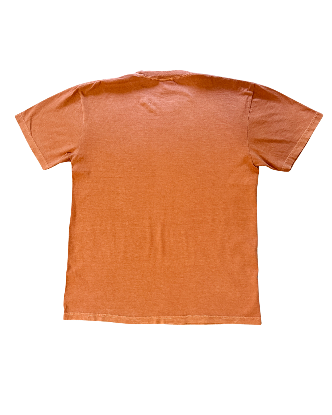 Harvest Sunflower Tee