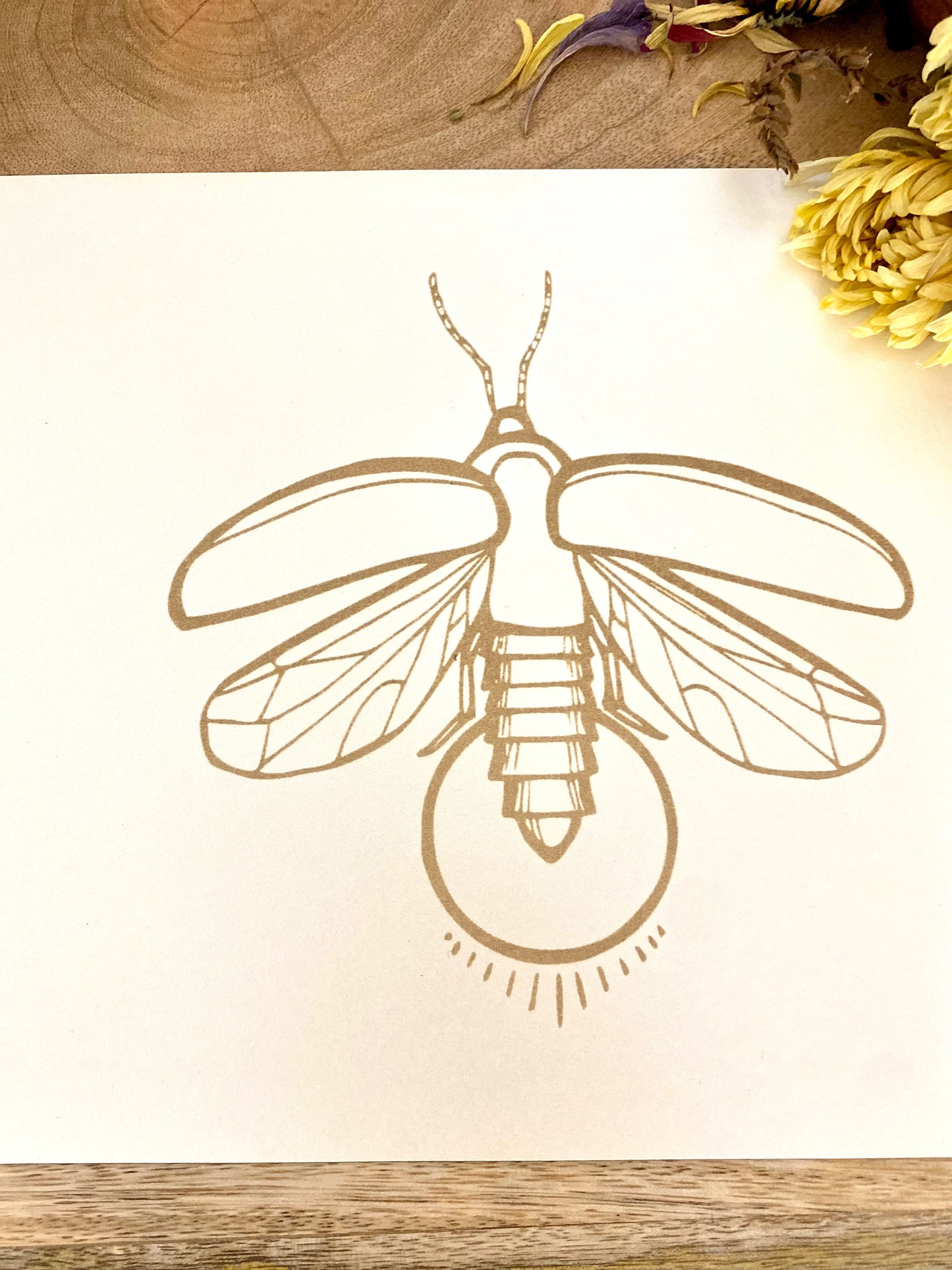 Firefly Print