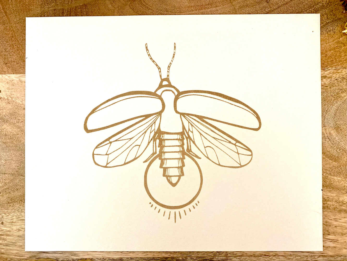 Firefly Print